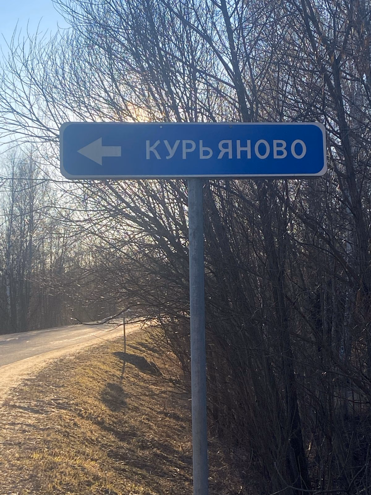 Участок 20 соток у реки в Курьяново